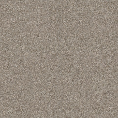 810 ANTILOPE